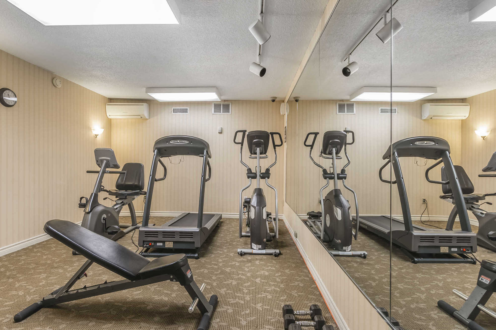 Quality Inn & Suites 5585 Ambler Drive Mississauga Ontario Servizi foto